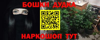 гашик Сланцы