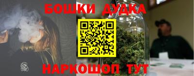 гашик Сланцы