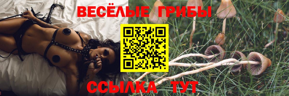 Псилоцибиновые грибы Psilocybe  Галлюциногенные грибы ЛСД  Отрадный  Вход с VPN 