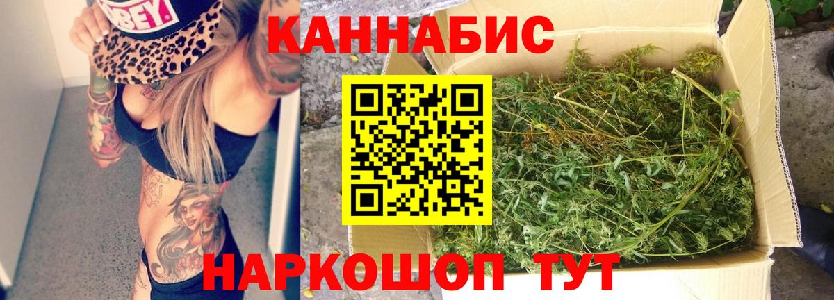 Конопля марихуана Отрадный